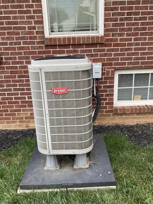 John Waters Inc. Picture 2