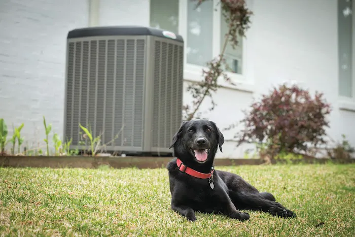 Environment Masters Plumbing and Air Picture 7