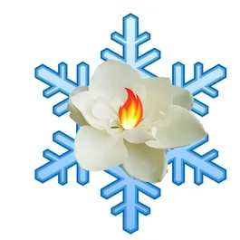 Magnolia Comfort Heating and Cooling Services Picture 4