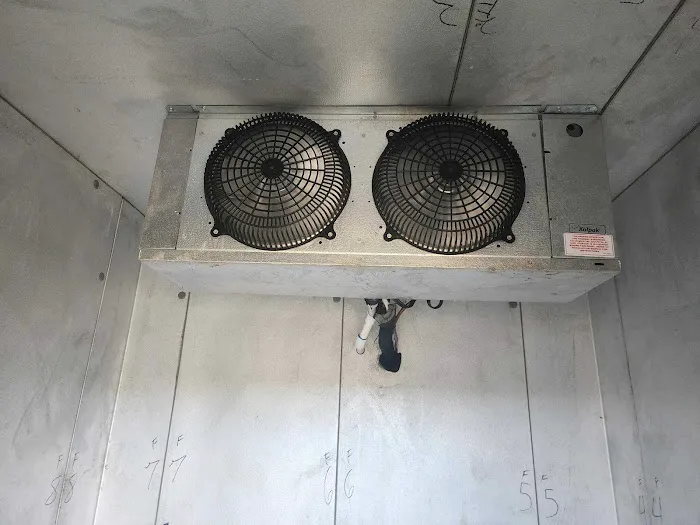 Cozy Solutions Picture 3