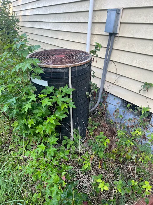 Jensen Mechanical Picture 6