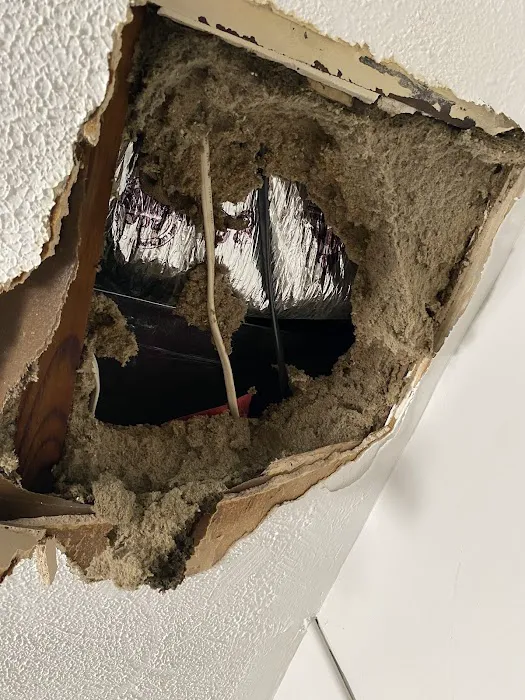 Jensen Mechanical Picture 3