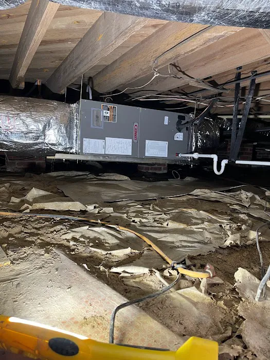 Jensen Mechanical Picture 10