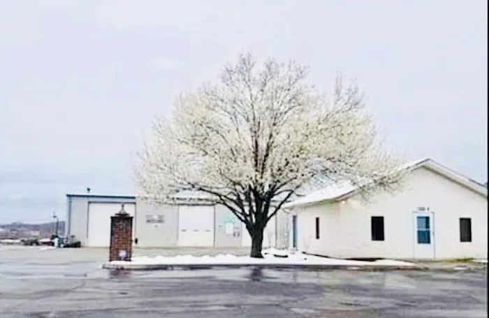 Timbrook Automotive Inc Picture 2