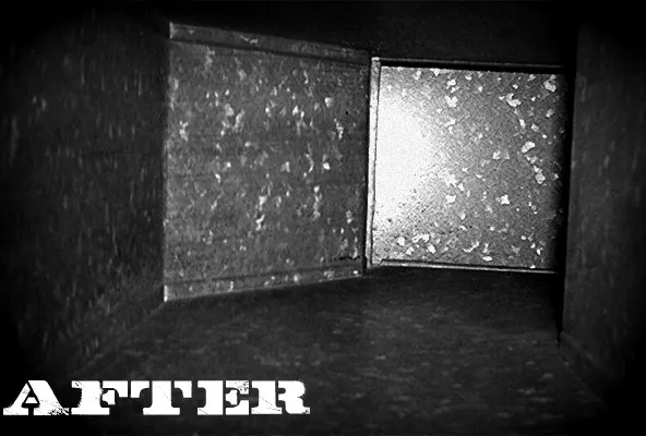 Dusty Ducts Inc Picture 6