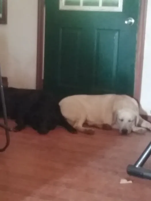 PERRY HEATING & COOLING Picture 4