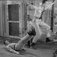 Bailey's Plumbing ico