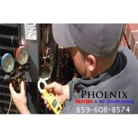 Phoenix Inc ico