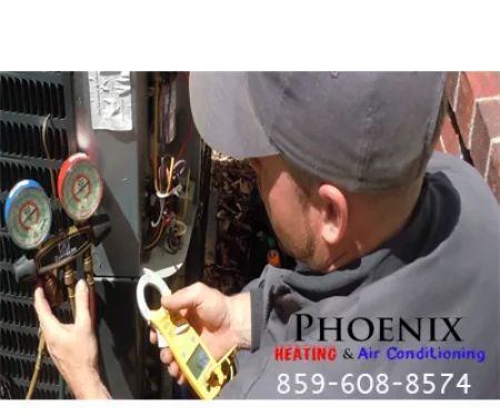 Phoenix Inc