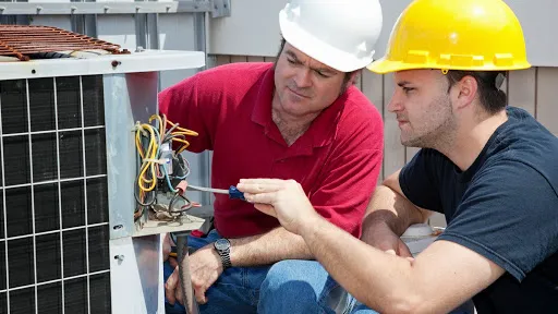 Phoenix Inc Picture 2