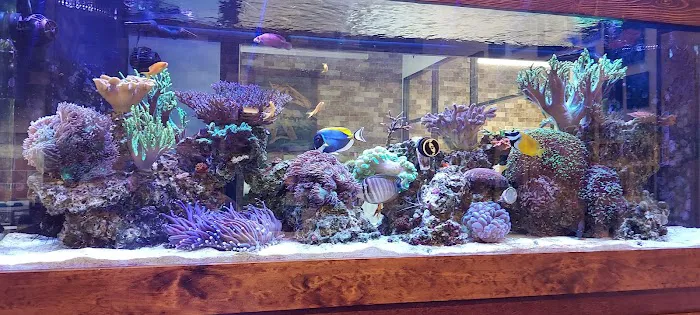 Richmond Brothers Mechanical Picture 1