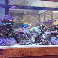 Richmond Brothers Mechanical ico