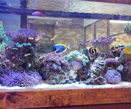 Richmond Brothers Mechanical