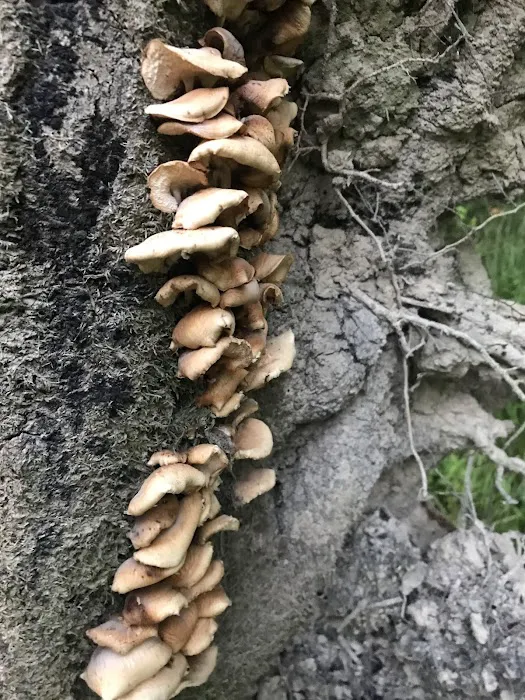 DoneRite Electric L.L.C. Picture 4