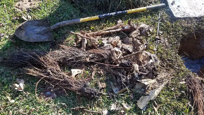 Thunderhead Repair LLC Picture 1