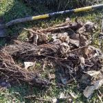 Thunderhead Repair LLC