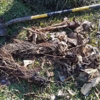 Thunderhead Repair LLC ico