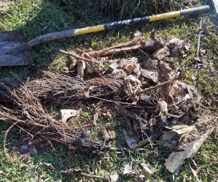 Thunderhead Repair LLC