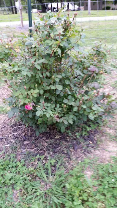 McCanless Refrigeration Picture 3