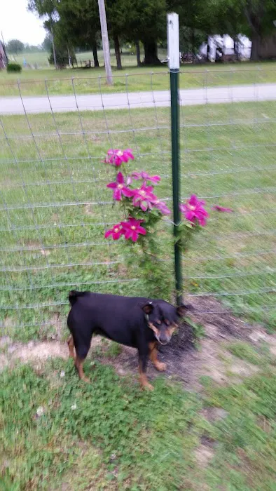 McCanless Refrigeration Picture 2