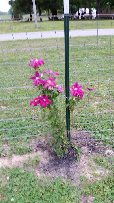 McCanless Refrigeration Picture 4