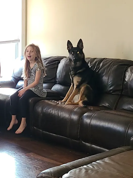 Cool Dog HVAC (HEATING & COOLING) Picture 1