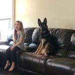 Cool Dog HVAC (HEATING & COOLING)