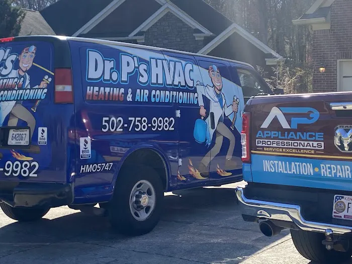 Dr. P's HVAC Heating & Air Conditioning Picture 8