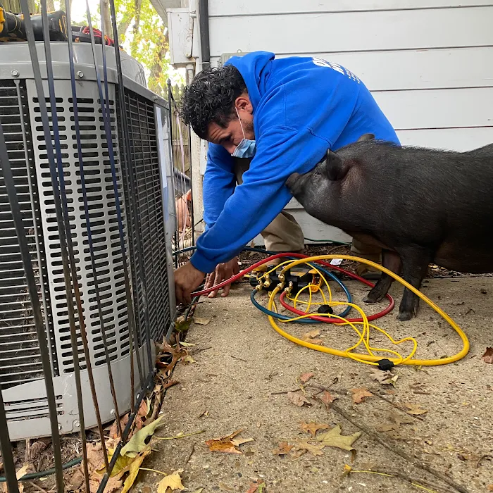 Dr. P's HVAC Heating & Air Conditioning Picture 10