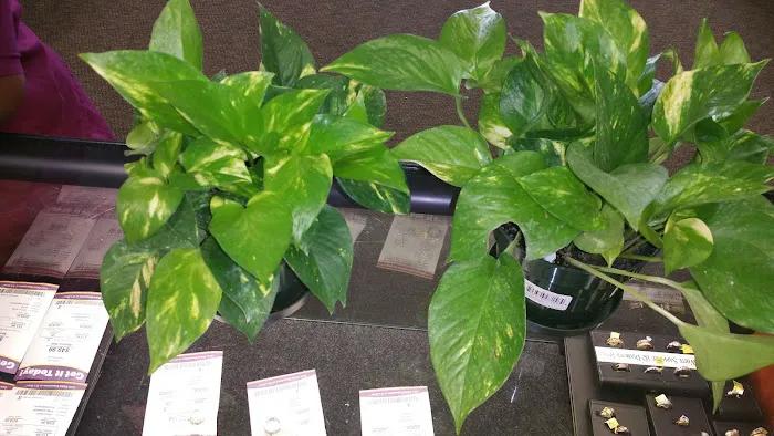 Robbies Auto Repair Picture 5