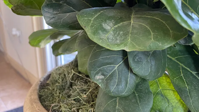 Air Mechanix, LLC Picture 6