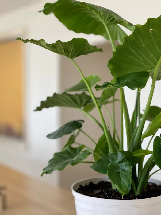 Air Mechanix, LLC Picture 2