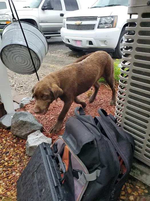 AMS HEATING & COOLING Picture 10