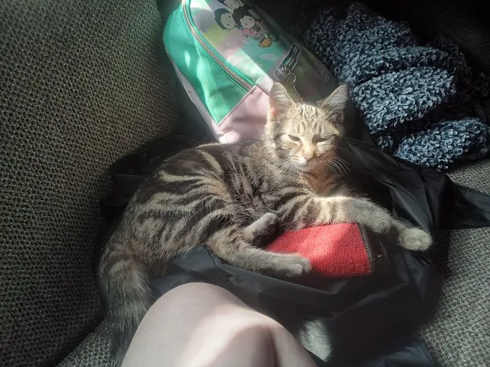 360 Home Services LLC Picture 1