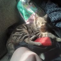 360 Home Services LLC ico