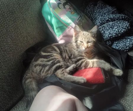 360 Home Services LLC