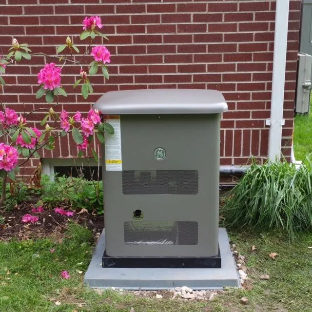 David White Services Picture 6