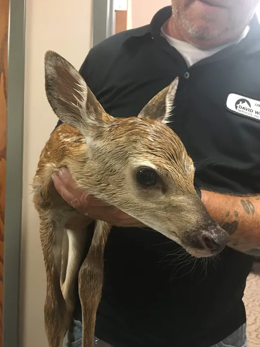 David White Services Picture 1