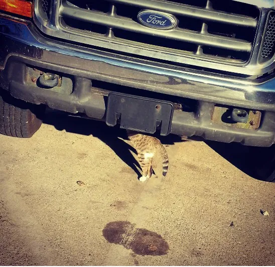 Kool Breeze AC & Auto Repair Picture 3