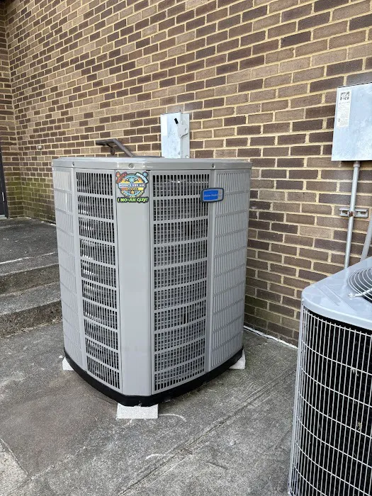 Noahs Ark Air Picture 8