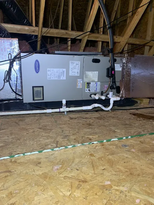 Noahs Ark Air Picture 9