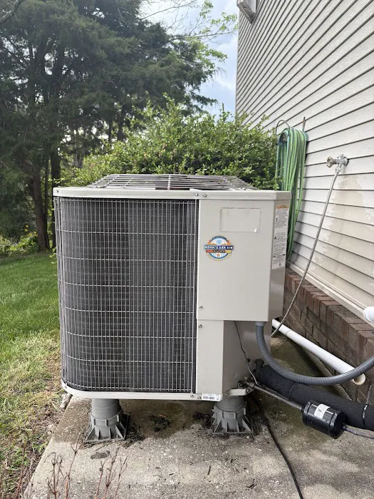 Noahs Ark Air Picture 5