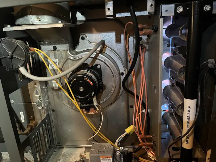 Noahs Ark Air Picture 10