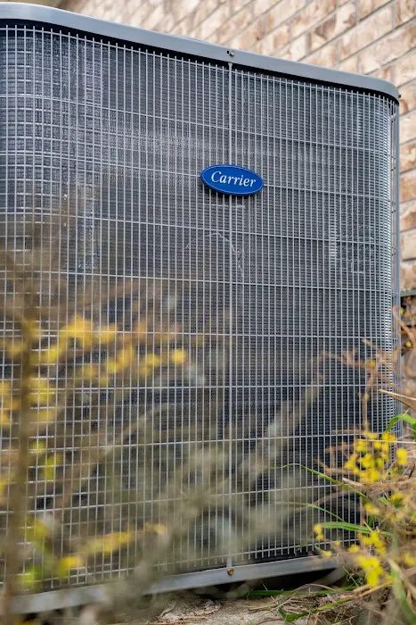 AM Solutions 247 LLC Picture 10