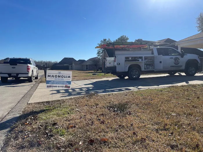 Magnolia Breeze Picture 6