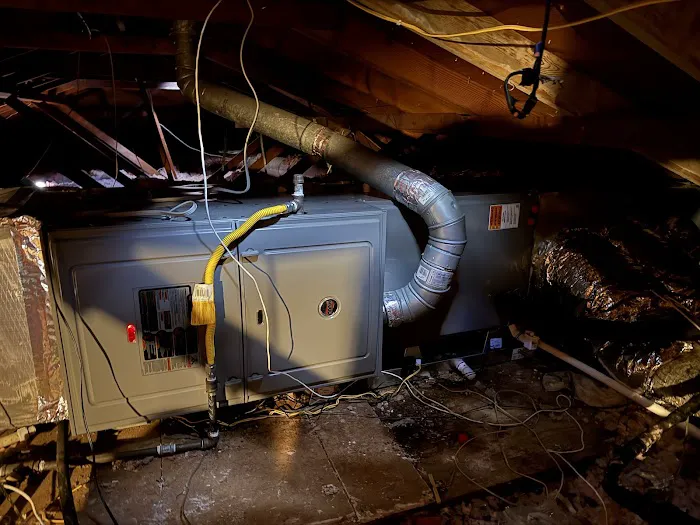 Magnolia Breeze Picture 3