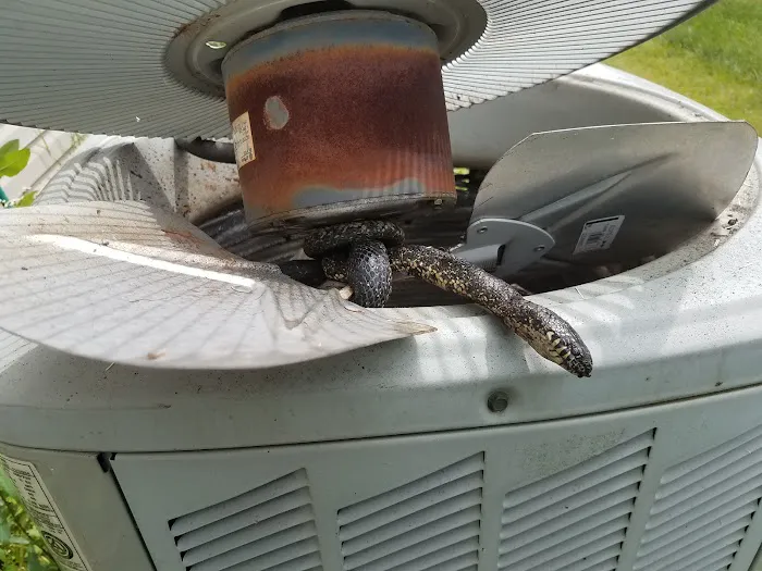 2 Morrows Heating and Cooling Picture 8