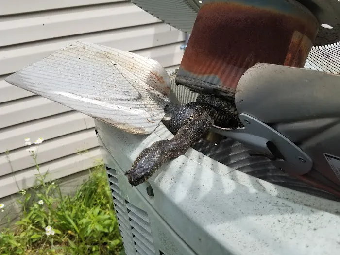 2 Morrows Heating and Cooling Picture 9