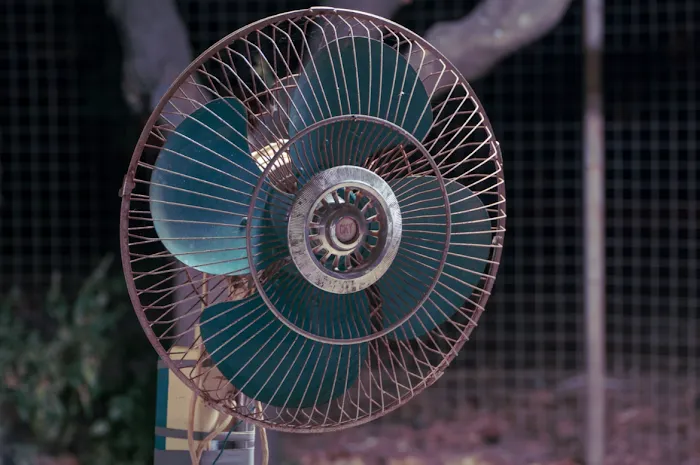 Absolute Services Picture 10