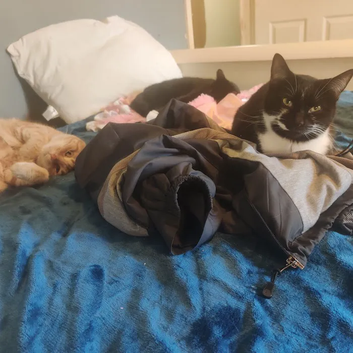 Summers Plumbing Heating & Cooling Picture 9